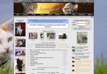 Hlavní banner na stránku kocici.net